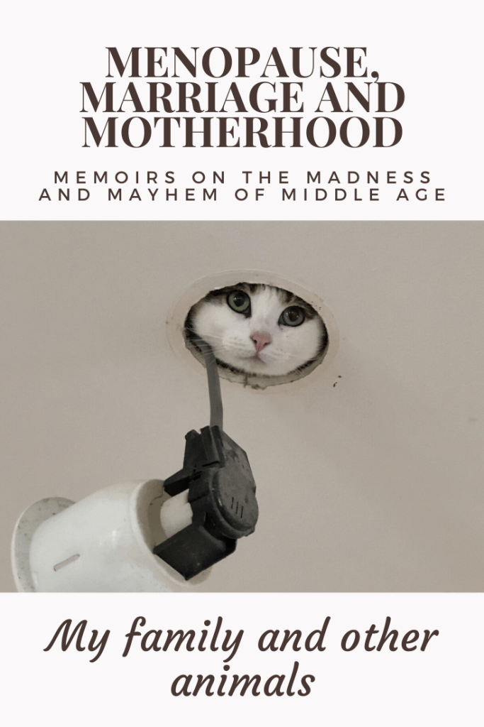 Menopause, Marriage and Motherhood